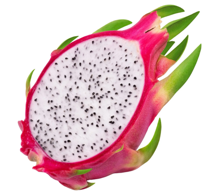 Dragon Fruit (White)_2