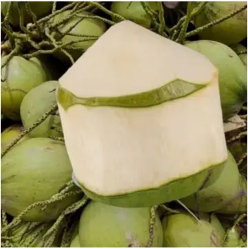 Thai Young Coconut (2pcs)_2