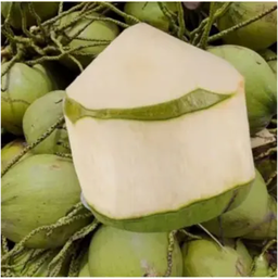 Thai Young Coconut (2pcs)