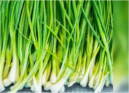 Spring Onion