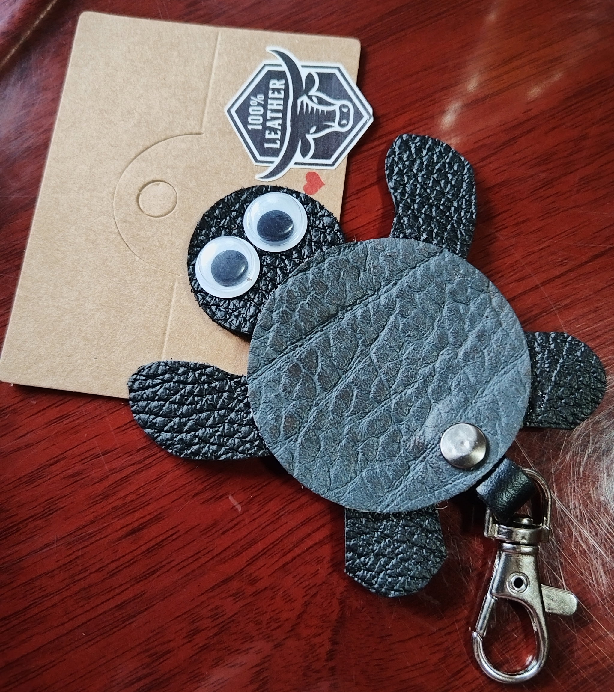 Turtle_0