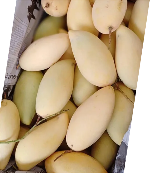 Thai Honey Mango_1