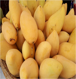 Thai Su Su Mango
