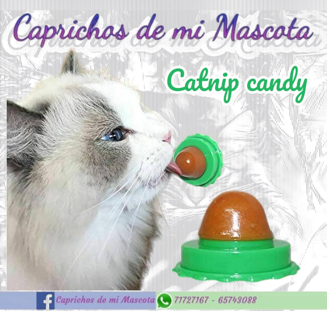 Candy Catnip