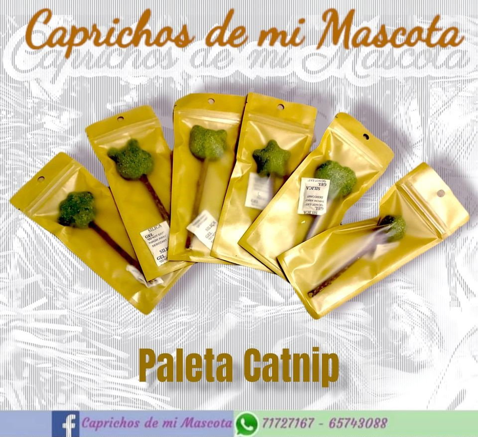 Paletas de Catnip