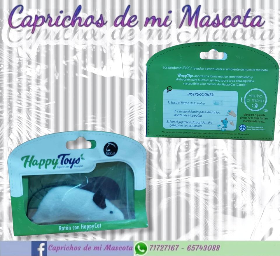 Raton con Catnip