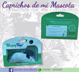Raton con Catnip