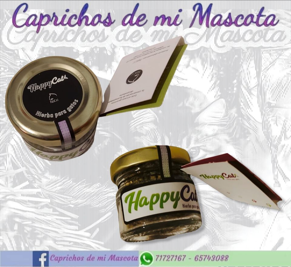 Happy Cat - Hierba para gatos
