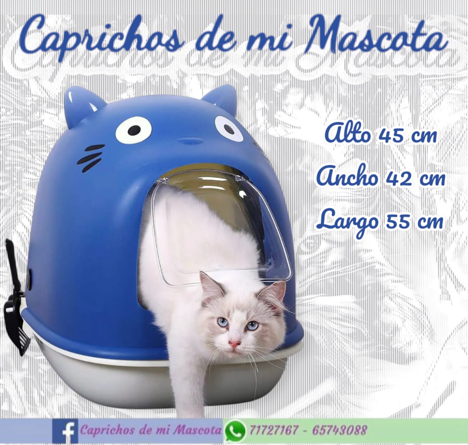 Arenero Cerrado Cara de Gato_1