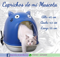 Arenero Cerrado Cara de Gato