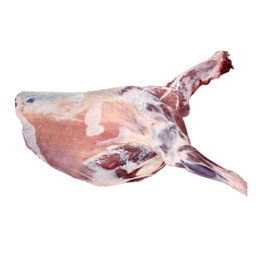 Goat Front Quarter