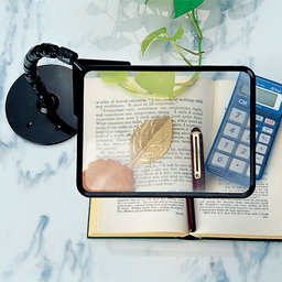 IKEDA Adjustable Large-Size Reading Magnifier