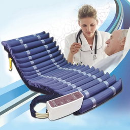 True Source Digital 3-Tube Alternating Air Mattress