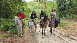 Samana y Salto el Limon (the limon watherfall)