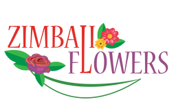 ZIMBALI FOLLOWERS 