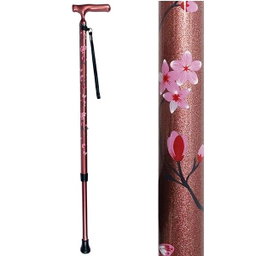 SHIMA Full Carbon Fiber Cane