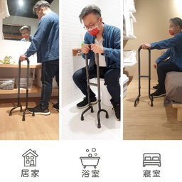 Bon Voyage Multi-Functional LEGO Cane