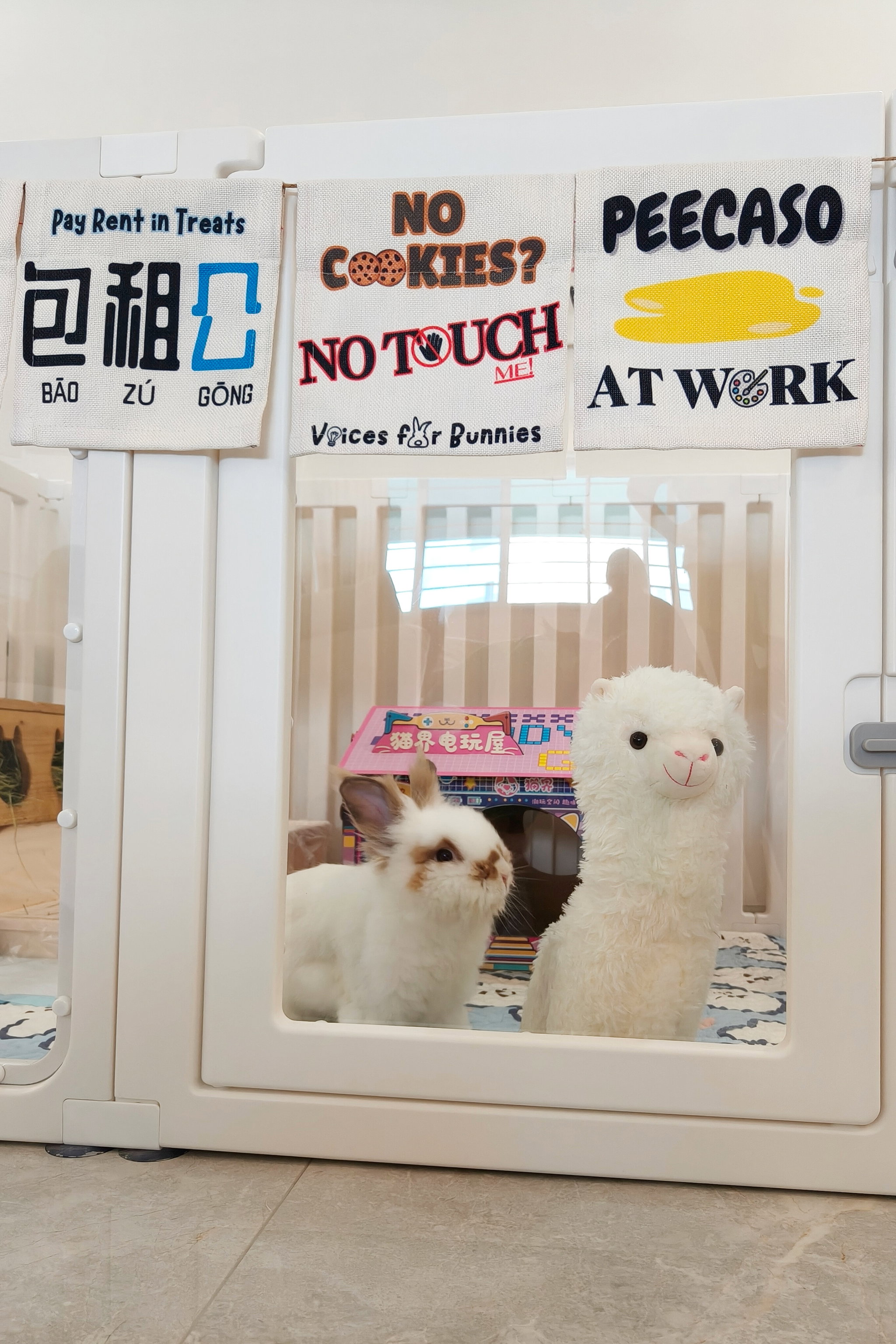 Pet Banners_1