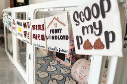 Pet Banners