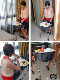 TRUST CARE Let's Go Indoor Rollator