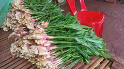ខ្ញី