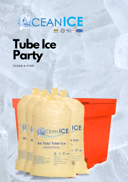 One Day Party Set Package