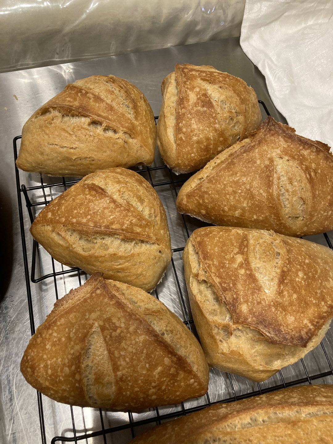Sourdough Rustic Rolls לחמניות מחמצת כפריות
