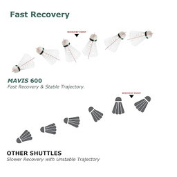 Badminton Shuttlecock 