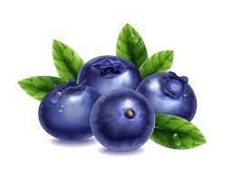 Imported Blueberry_0