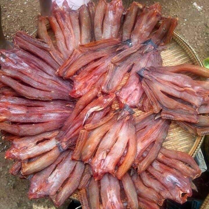 ត្រីរសងៀត