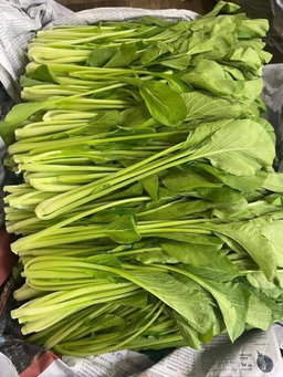 ស្ពៃចង្កឹះ