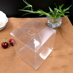 Cajas PVC Transparentes o Acetato