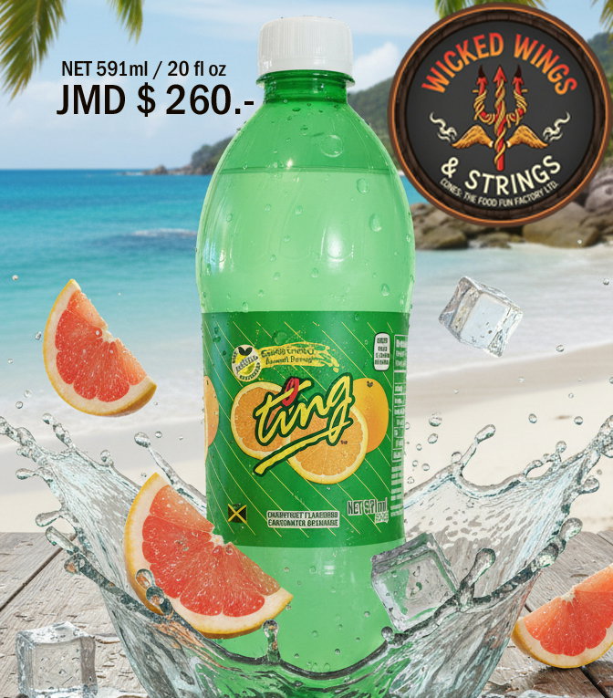 Ting NET 591ml/ 20 fl oz_0