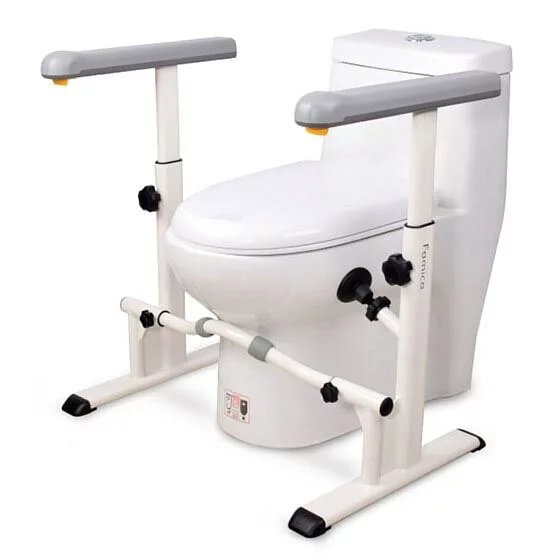 Famica Toilet Safety Grab Bar
