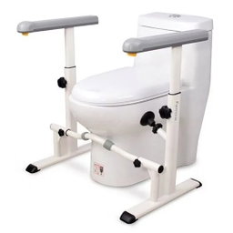 Famica Toilet Safety Grab Bar