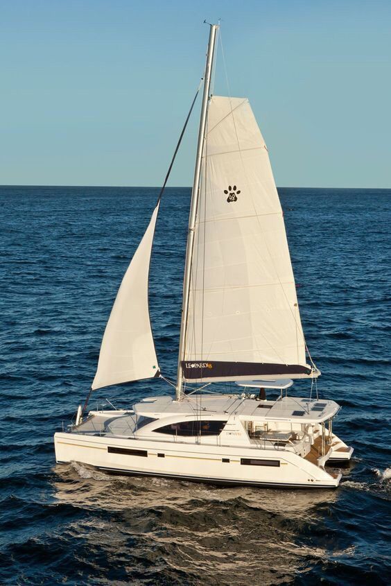  BUTTFLY CATAMARANI                         _0