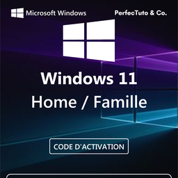 Windows 11