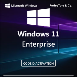 Windows 11