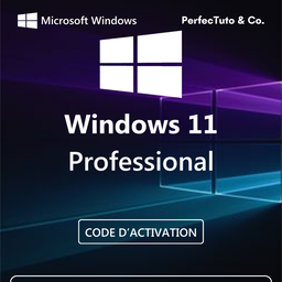 Windows 11