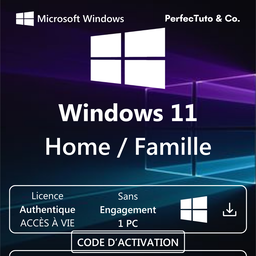 Windows 11