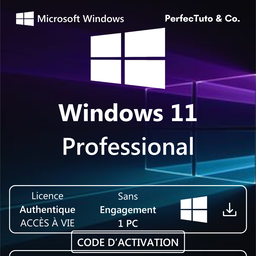 Windows 11