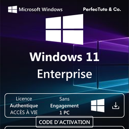 Windows 11