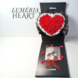 LUMÉRiA Heart or Cake 