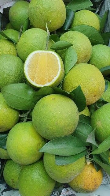 ក្រូចពោធសាត់_0