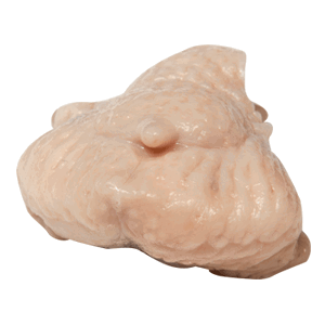 Tail_0