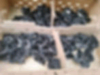Nesta Chickens