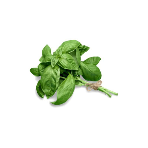 Basil per Bunch_0