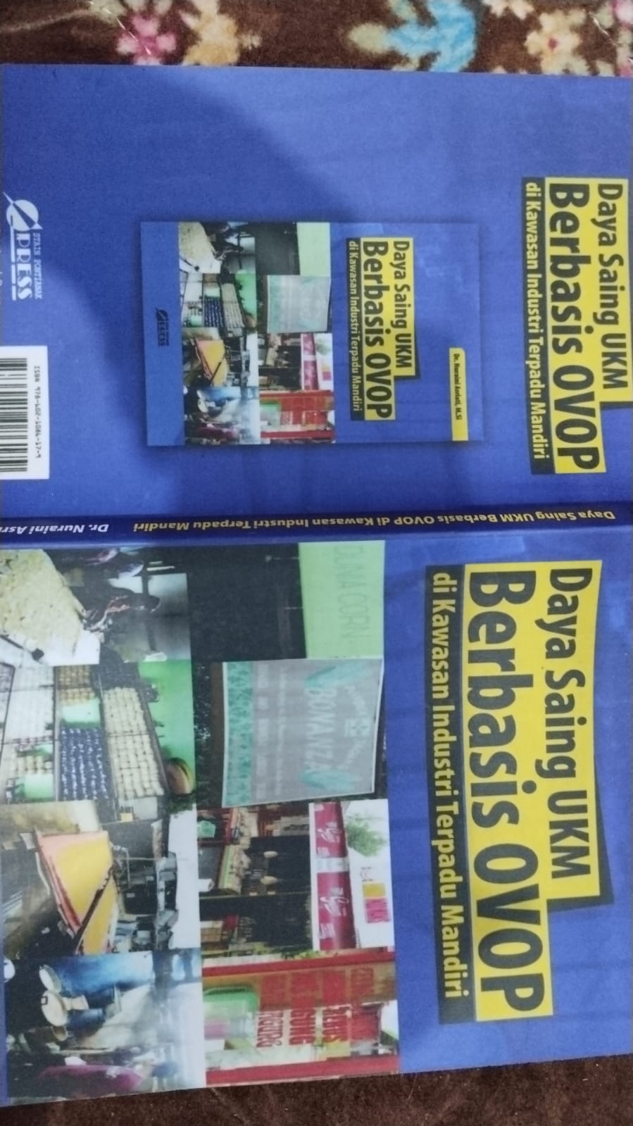 DAYA SAING UMKM BERBASIS OVOP DI KAWASAN INDUSTRI TERPADU MANDIRI_0