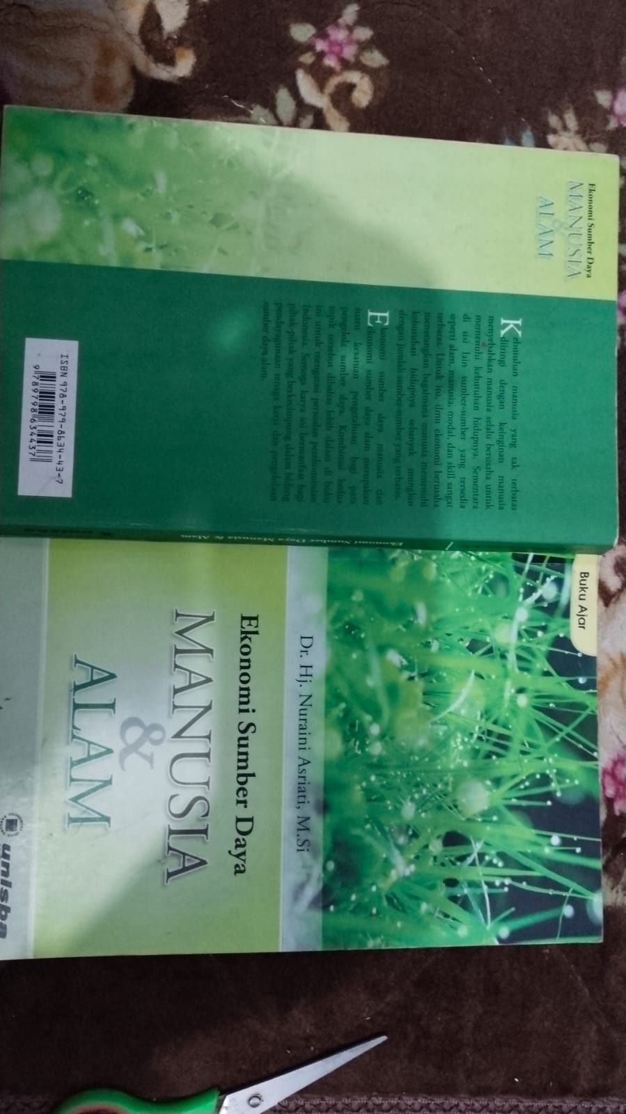 EKONOMI SUMBER DAYA MANUSIA DAN ALAM _0