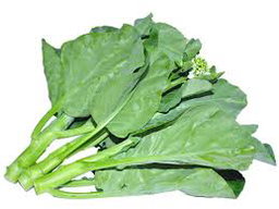 ខាតណាកាត់